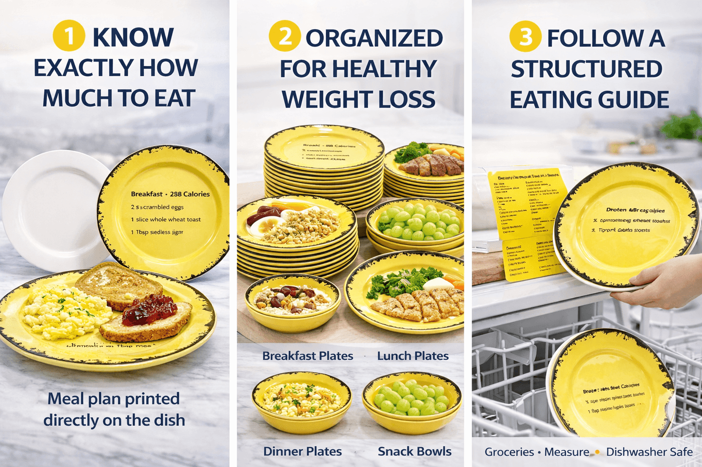 Structured Eating System Portion Control Set